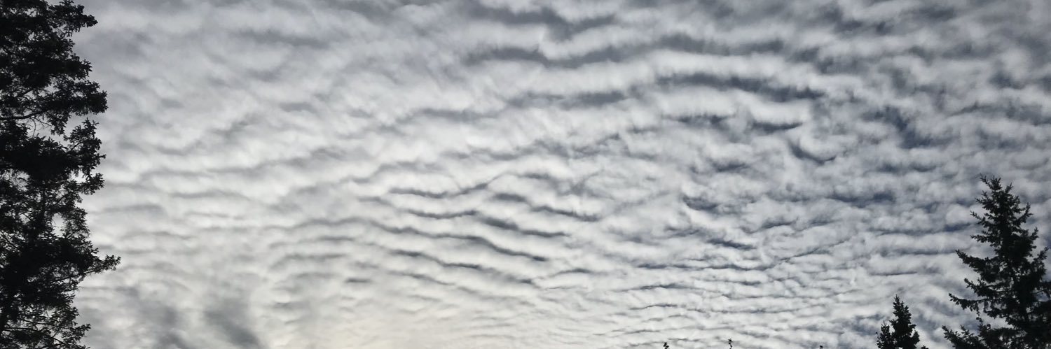 Olli Subridens Canis banner