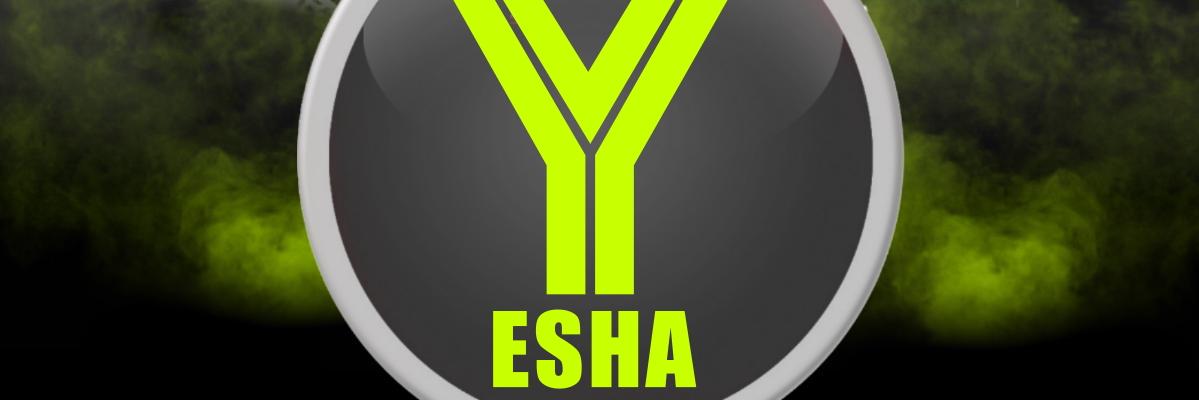 yeshamusic's profile banner image