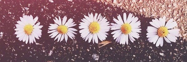 AriyahnaSkye's profile banner image