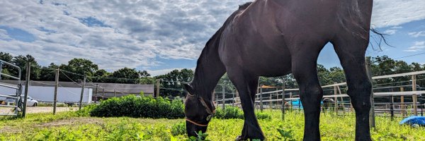 InASingleWord Profile Banner