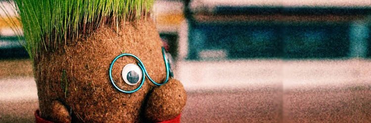 _cimadam_'s profile banner image