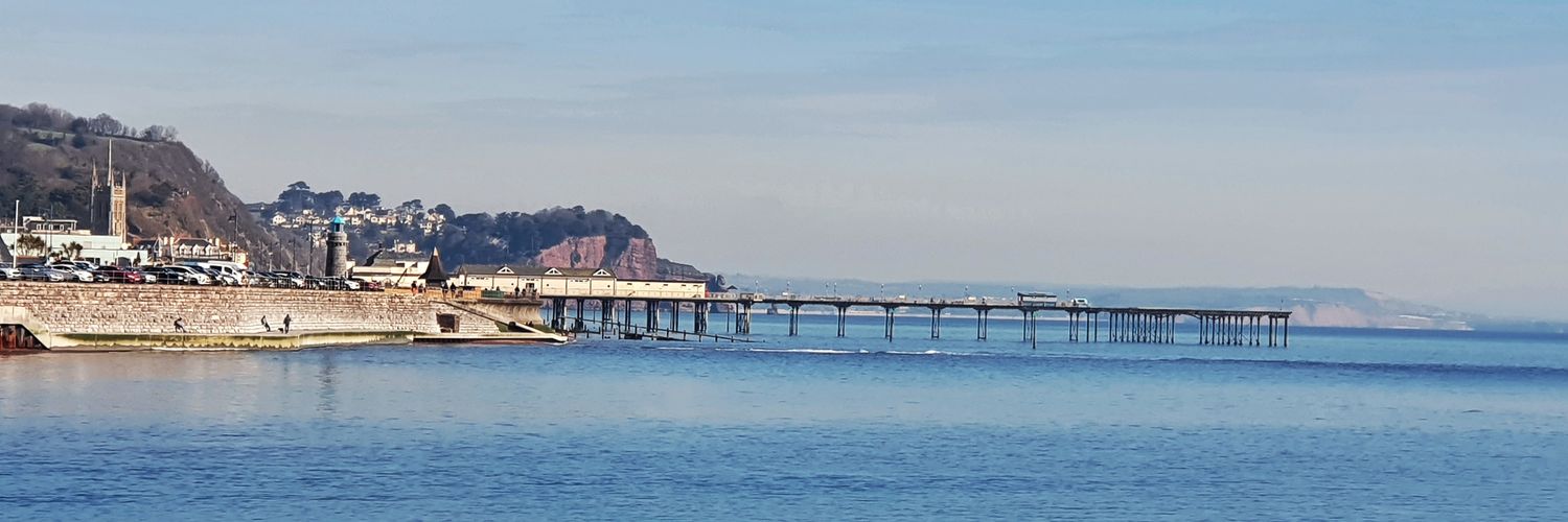 The Adventurer 🌿 banner