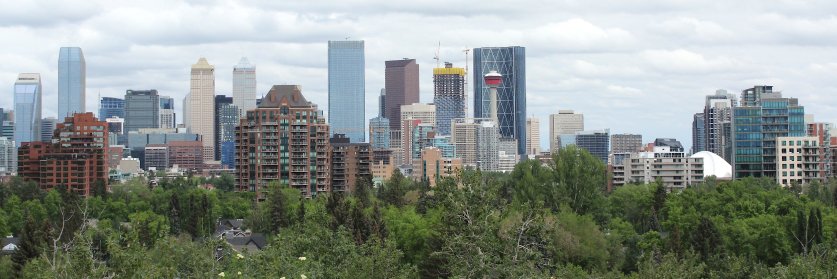 Darren Krause banner