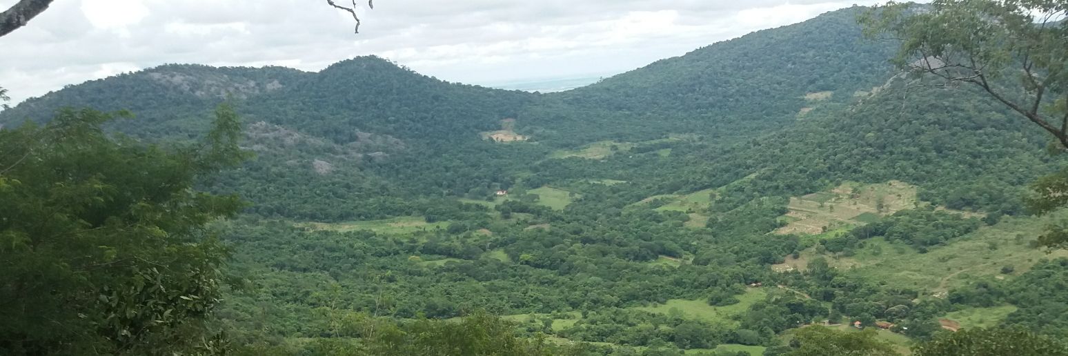 MarcosruizR's profile banner image
