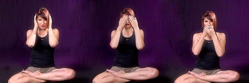 MichelleCHicks's profile banner image
