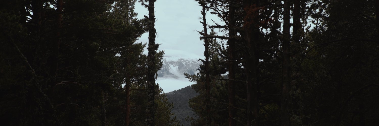 AlbertoCNalda's profile banner image