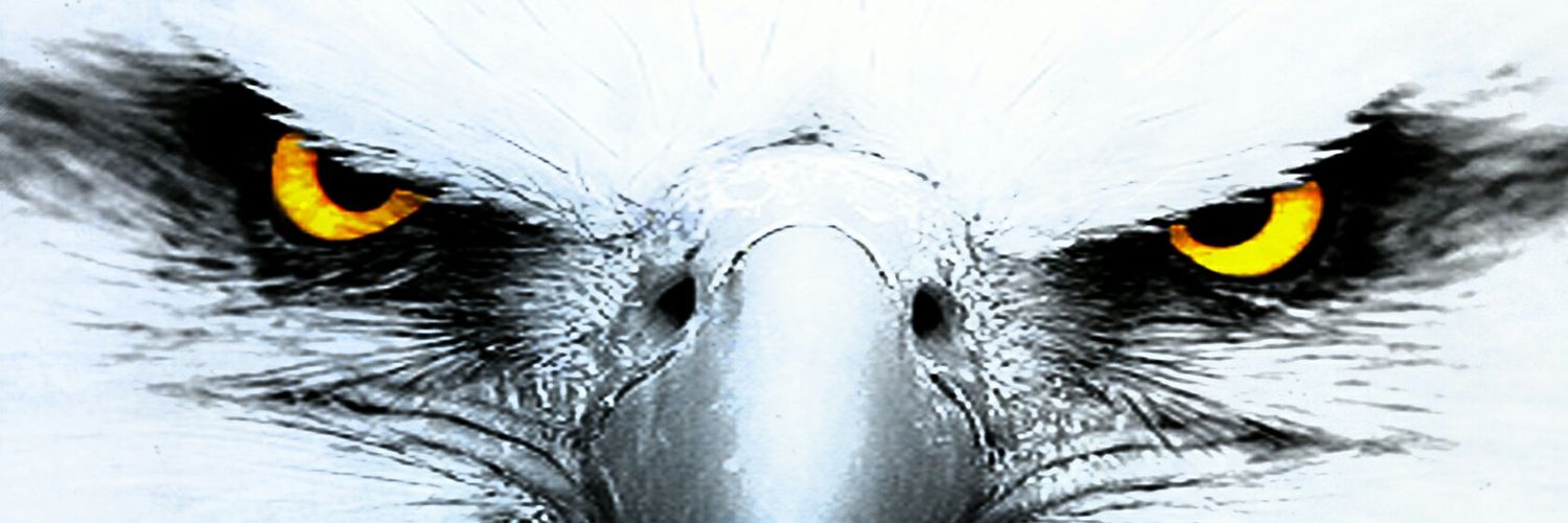 Drew3511's profile banner image