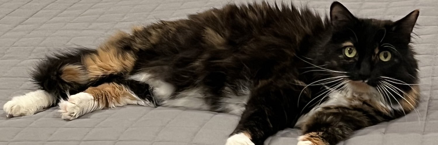 susieriley's profile banner image