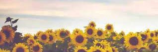 alpal_12's profile banner image