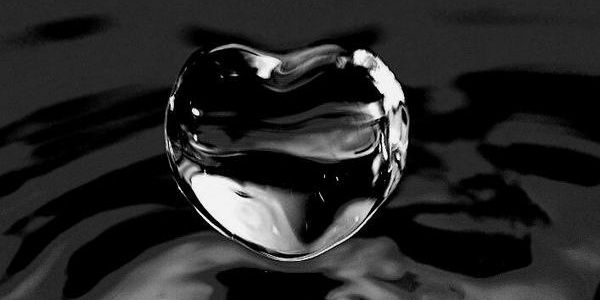 noshmr's profile banner image
