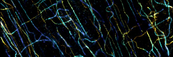 TMDSheard Profile Banner