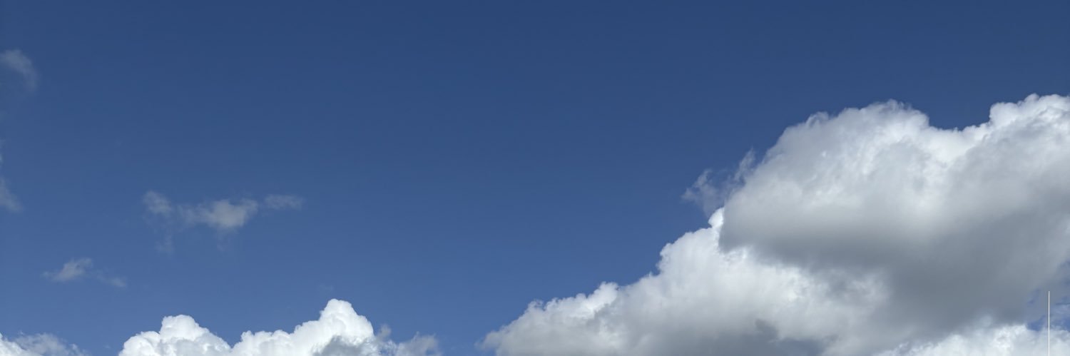 ninaEbevan's profile banner image