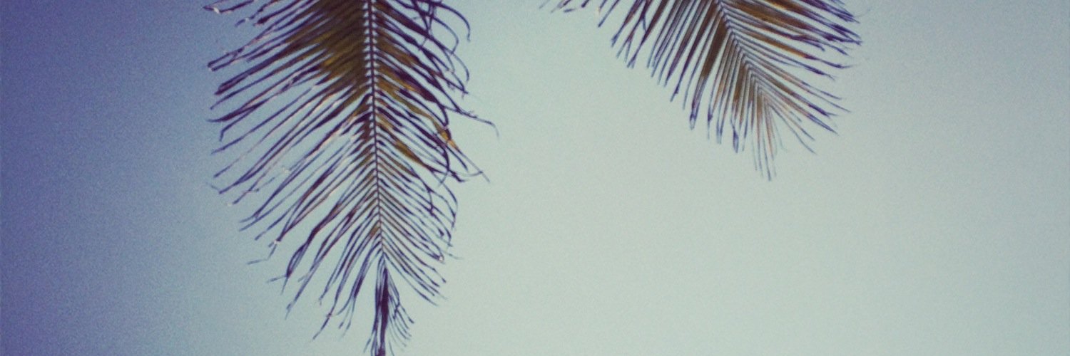 pascalelaverton's profile banner image