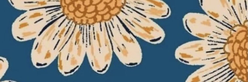 luísa banner