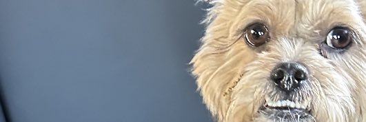 kyle_torrance's profile banner image