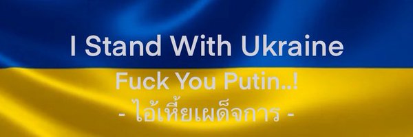 lerdnarit Profile Banner