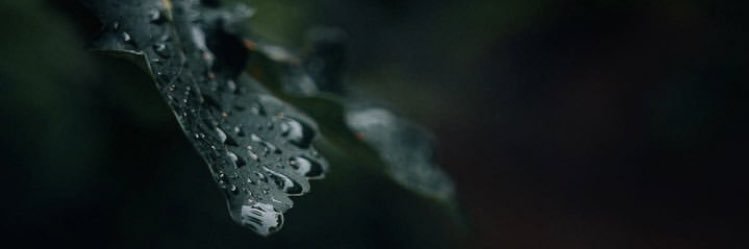 makriyalist's profile banner image