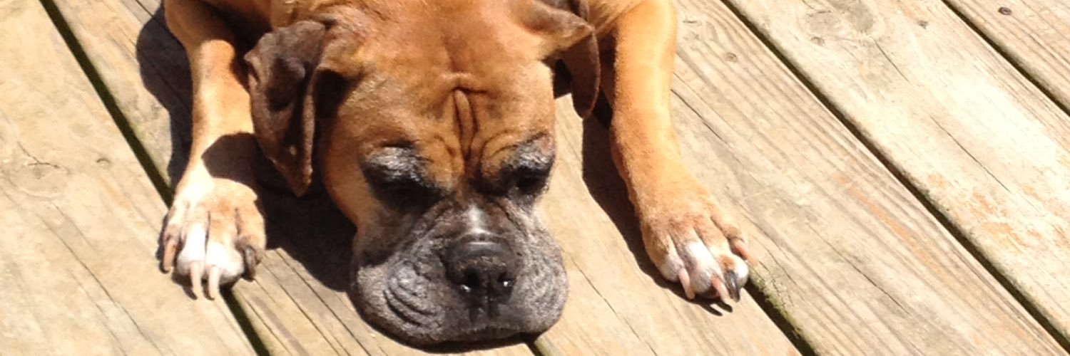 mdavisgunter's profile banner image