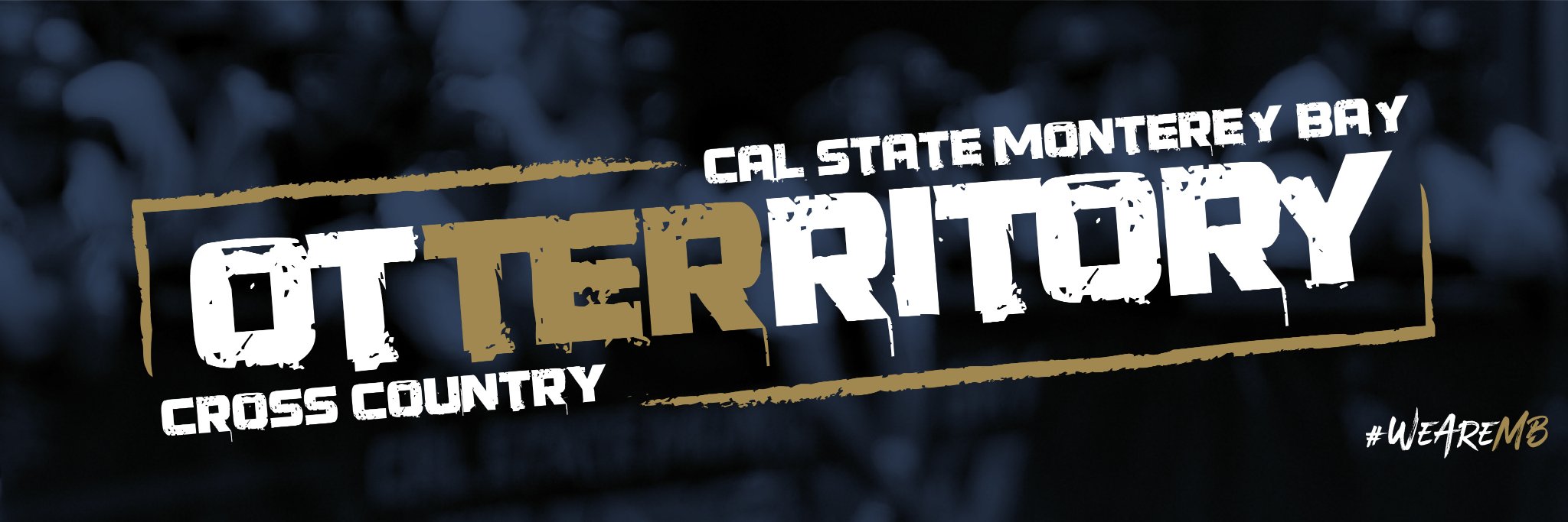 CSUMB Cross Country banner