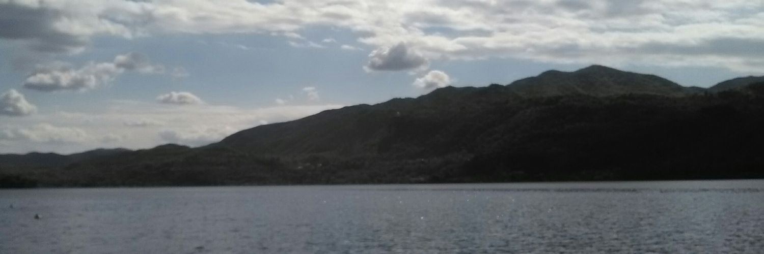 polasalva's profile banner image