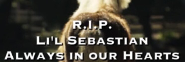 BieskeLuke's profile banner image