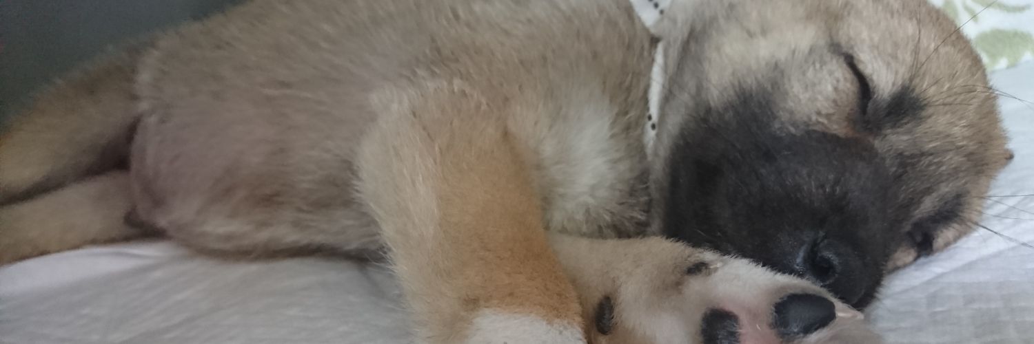tomtit0121's profile banner image