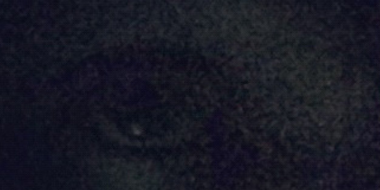 Bert Verbeke banner
