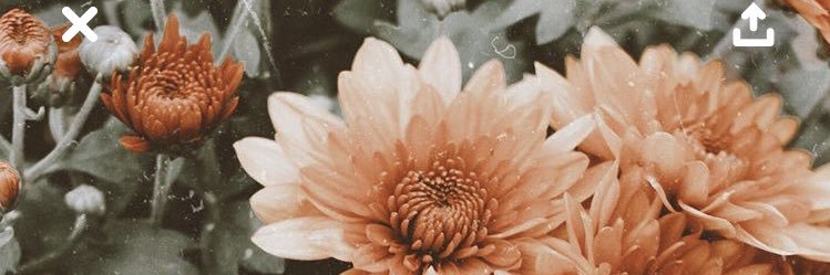 jhagedorn141's profile banner image