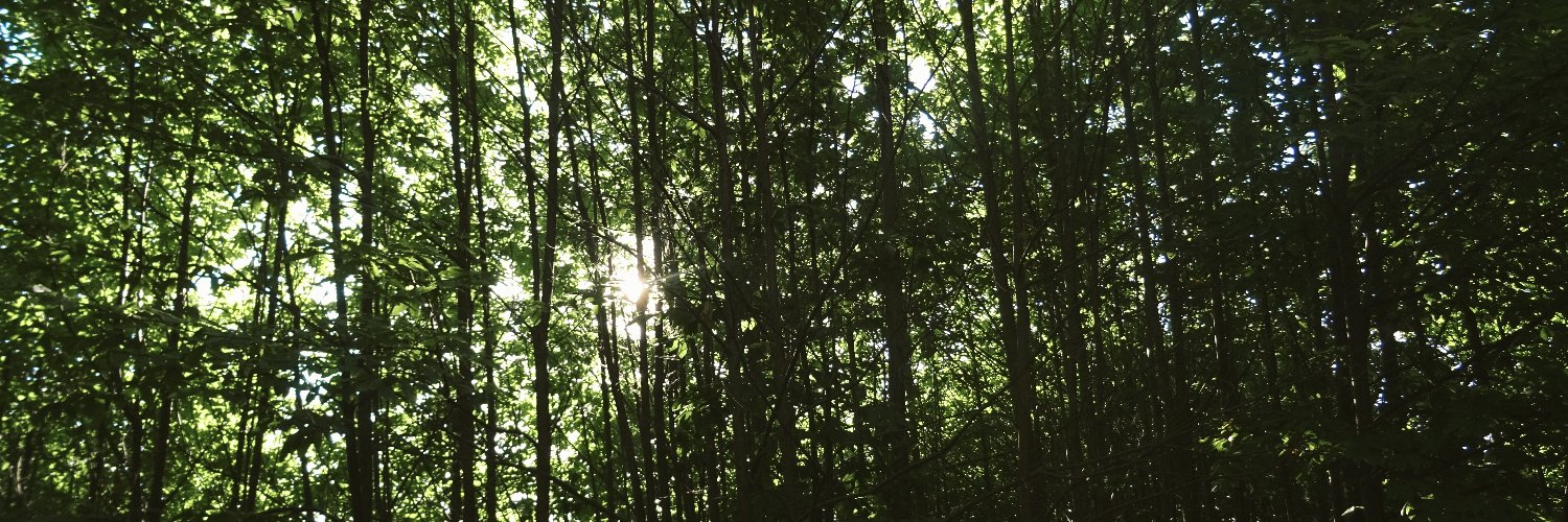 esthercerezor's profile banner image