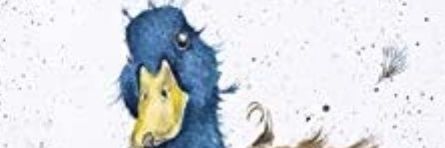 sarashushnow's profile banner image