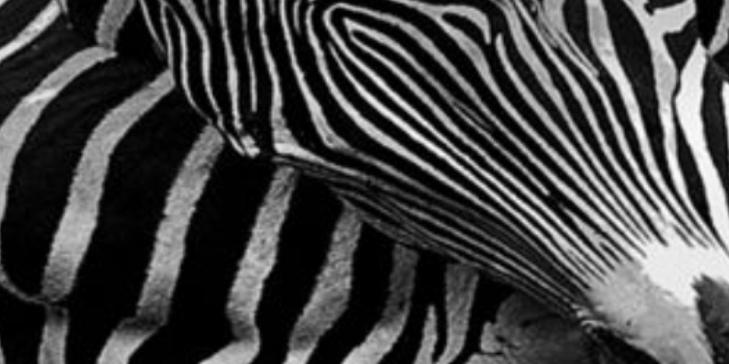 RichardMarin's profile banner image