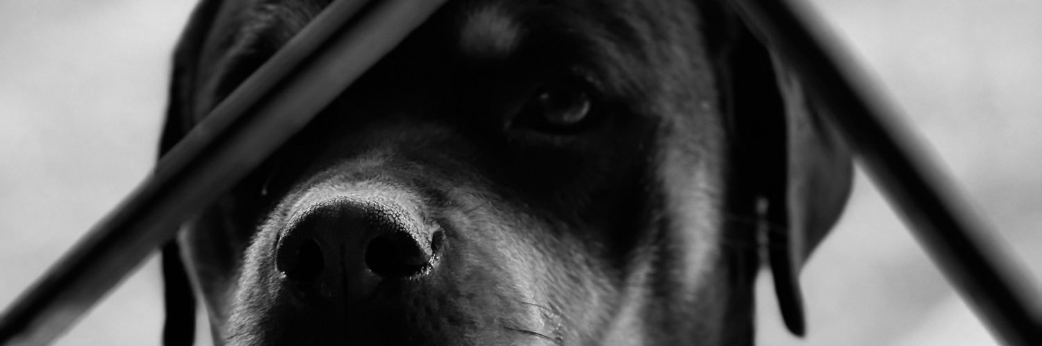 helebravoa's profile banner image
