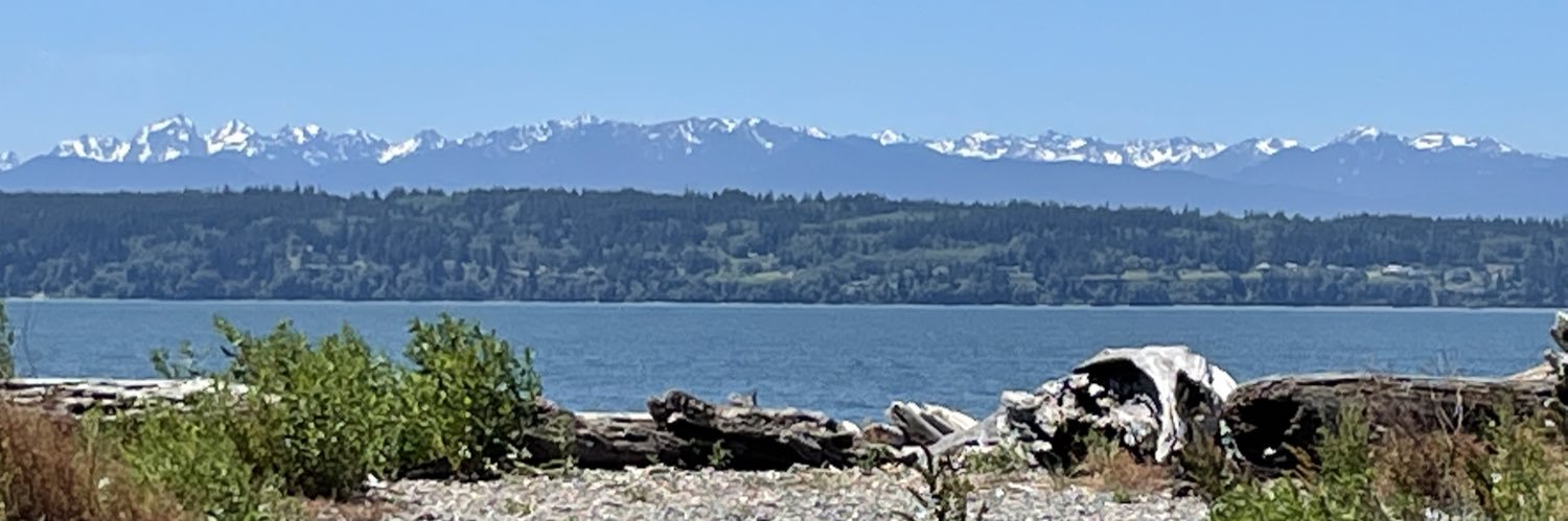 MrsDSkidmore's profile banner image