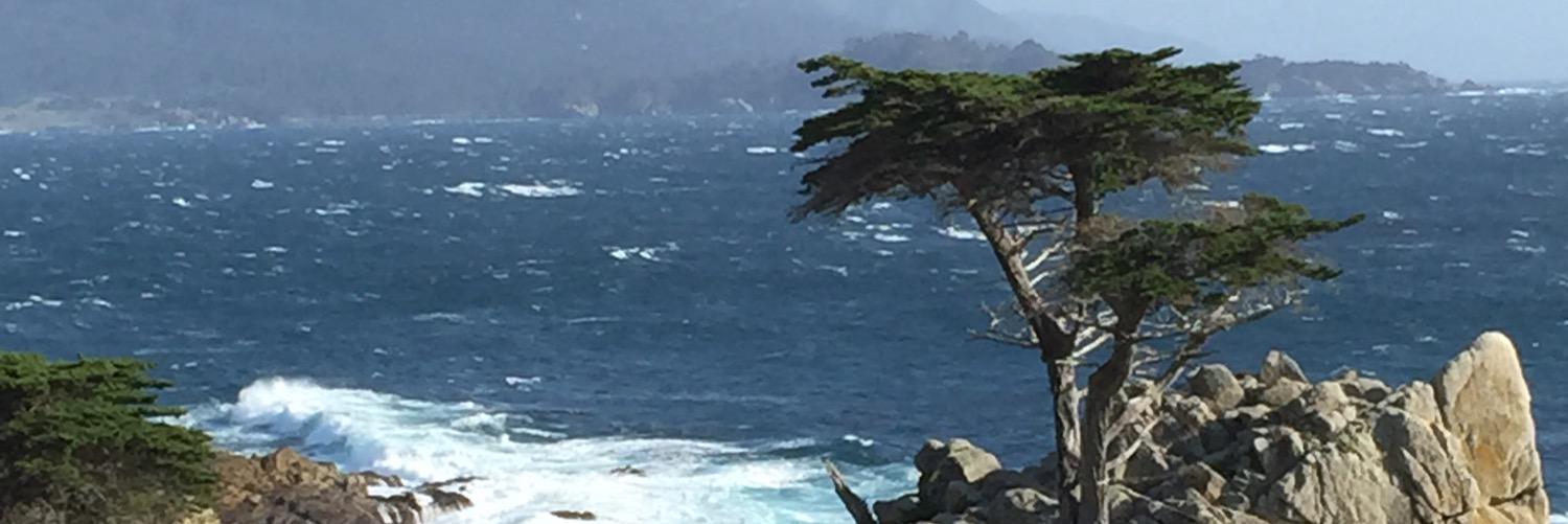 jpaulbrady's profile banner image