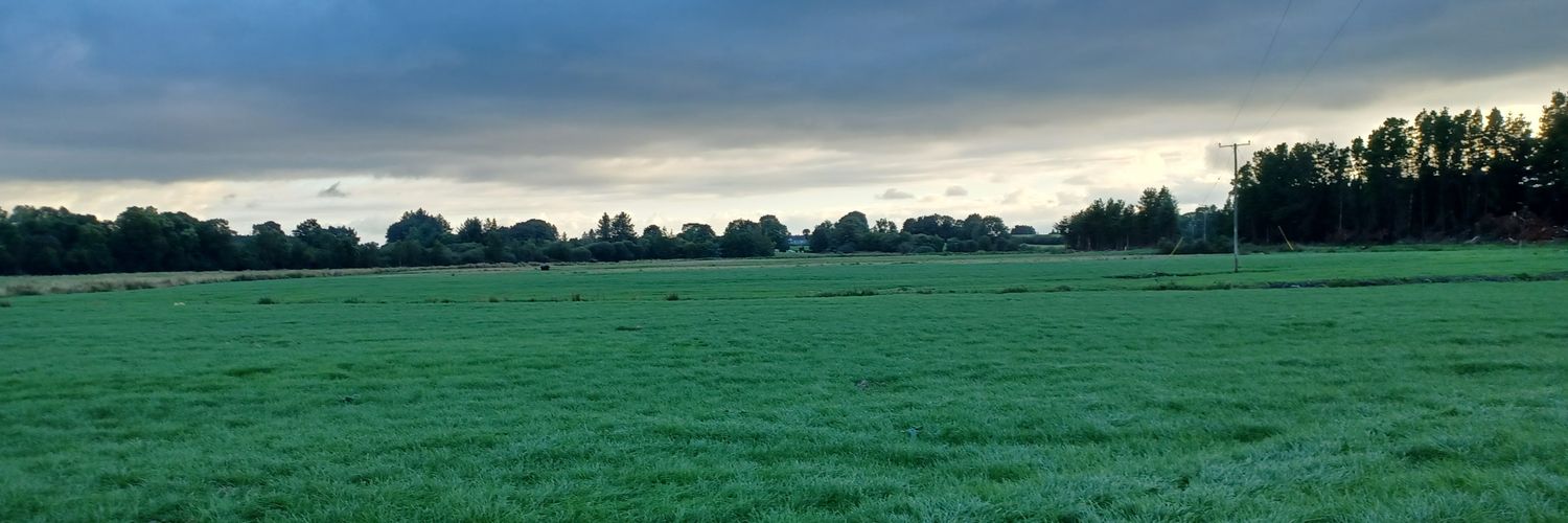 Vincent Griffith banner