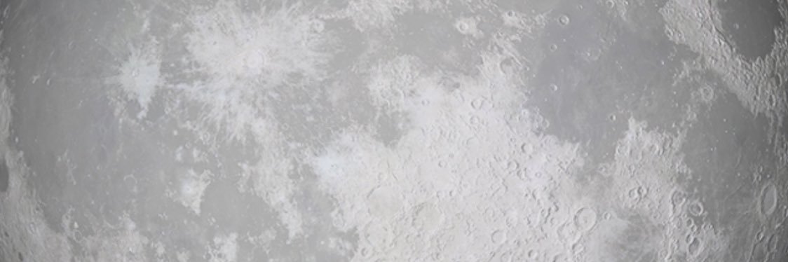 eBayScammer banner