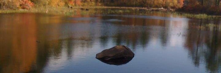 mpvjr2's profile banner image