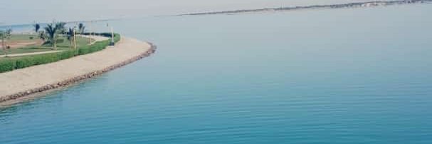 _11sultan's profile banner image
