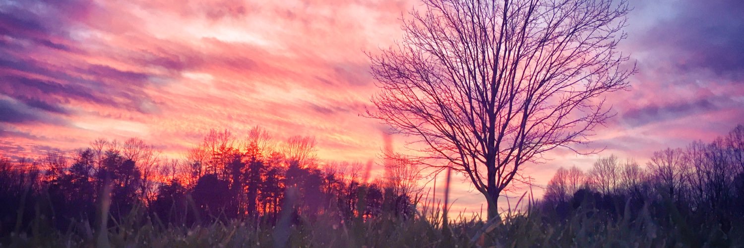 hook_is_back's profile banner image