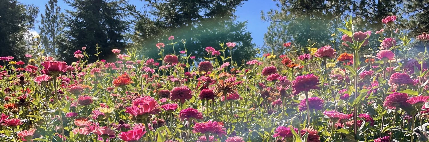 angiegxrcia's profile banner image