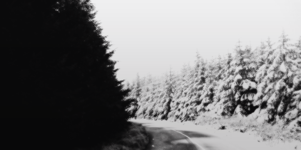 leodicaprix's profile banner image