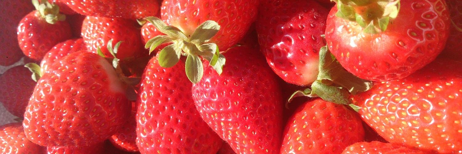 CbrFarmersMkts's profile banner image