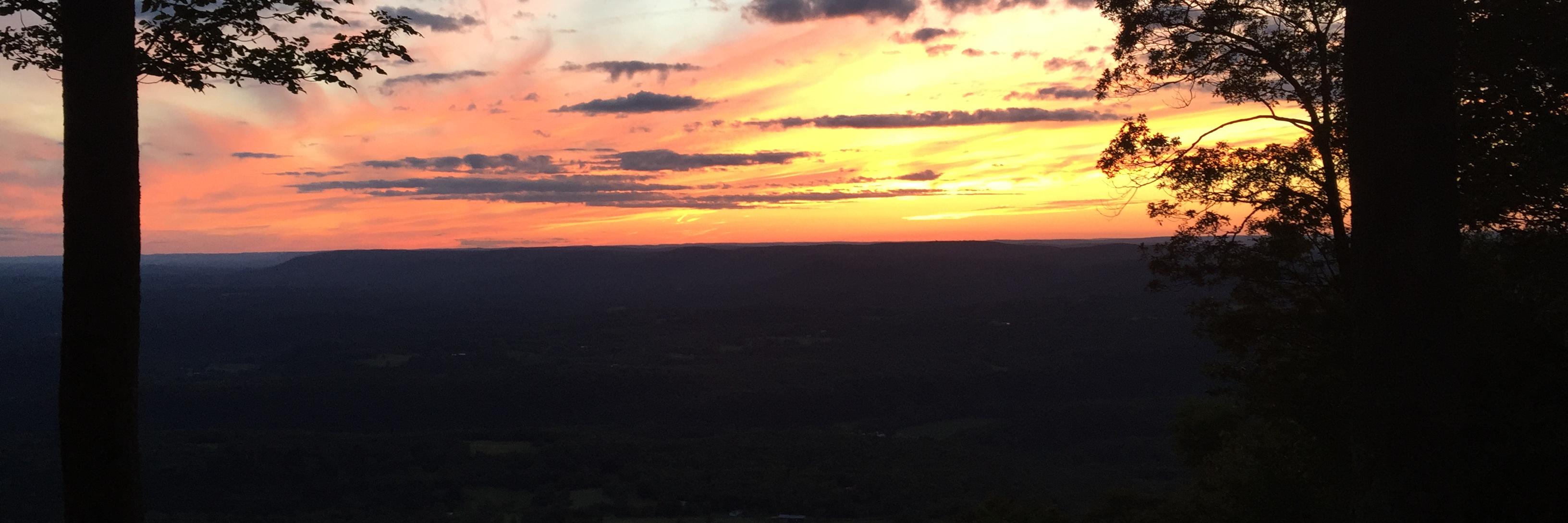 Bryan Devenney banner