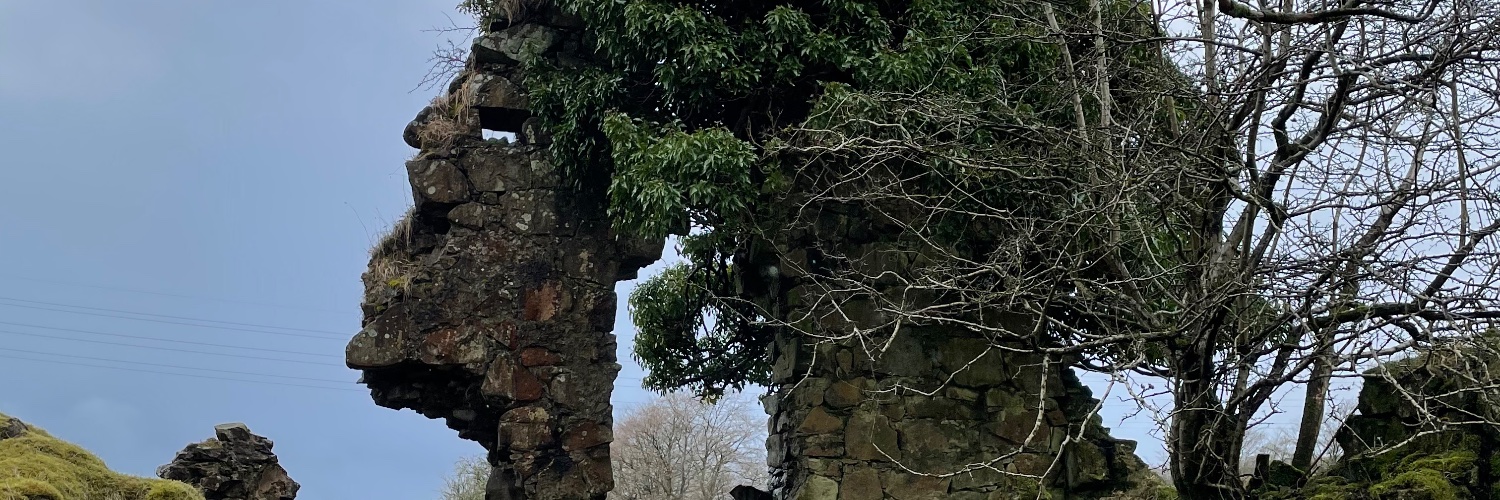 natalie mcmillan banner