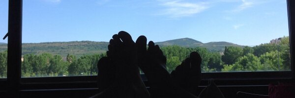 BetQuincas Profile Banner