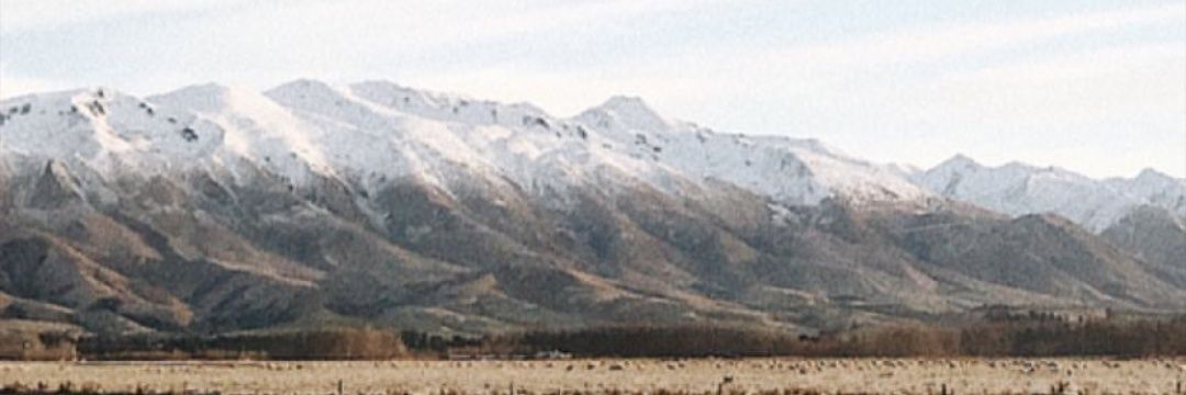 IndomieSeleraku banner