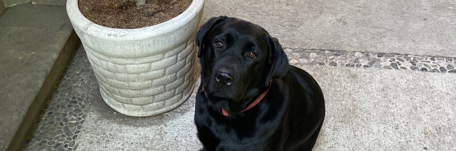 Alberto Zarza 🇲🇽 banner