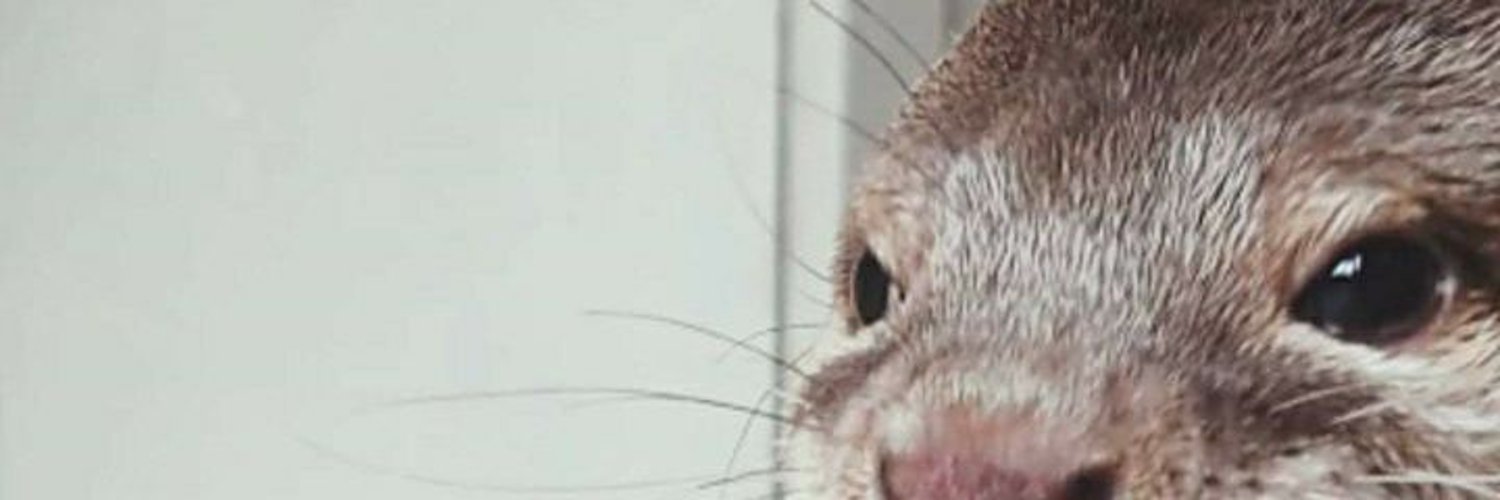 Codex_GG_'s profile banner image