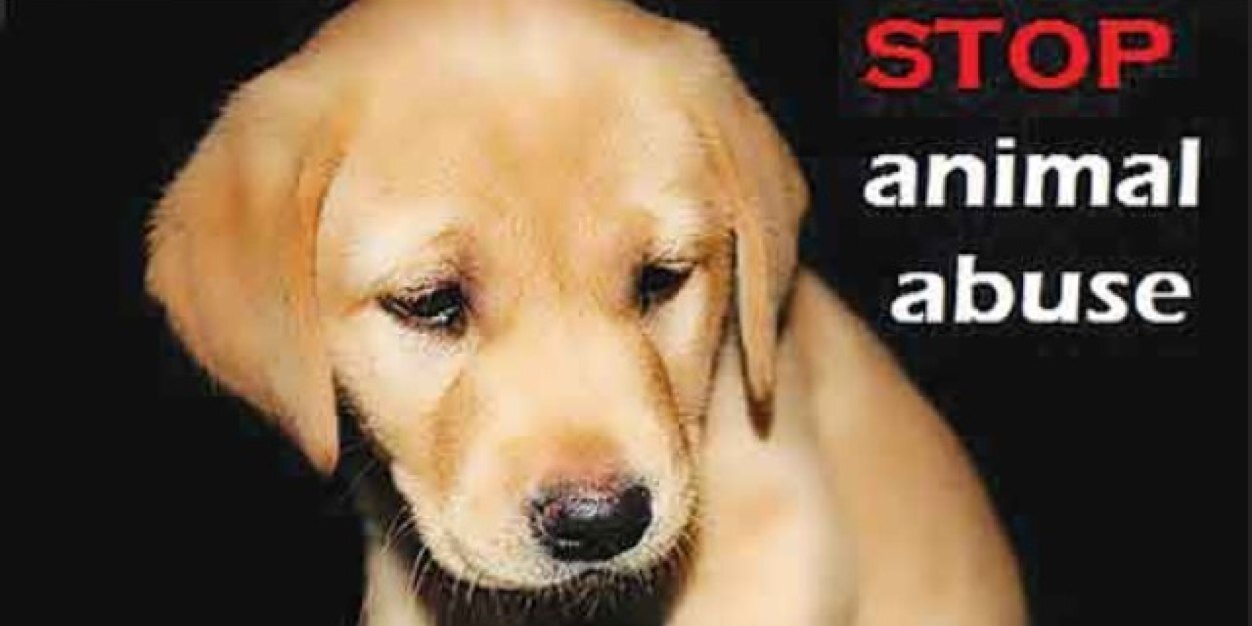 endcruelty's profile banner image