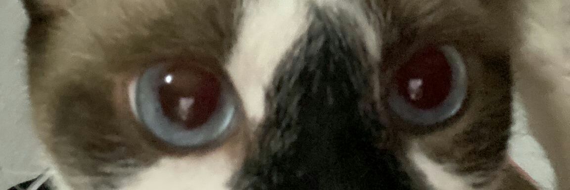 Fabryᅠᅠᅠᅠᅠᅠᅠ banner